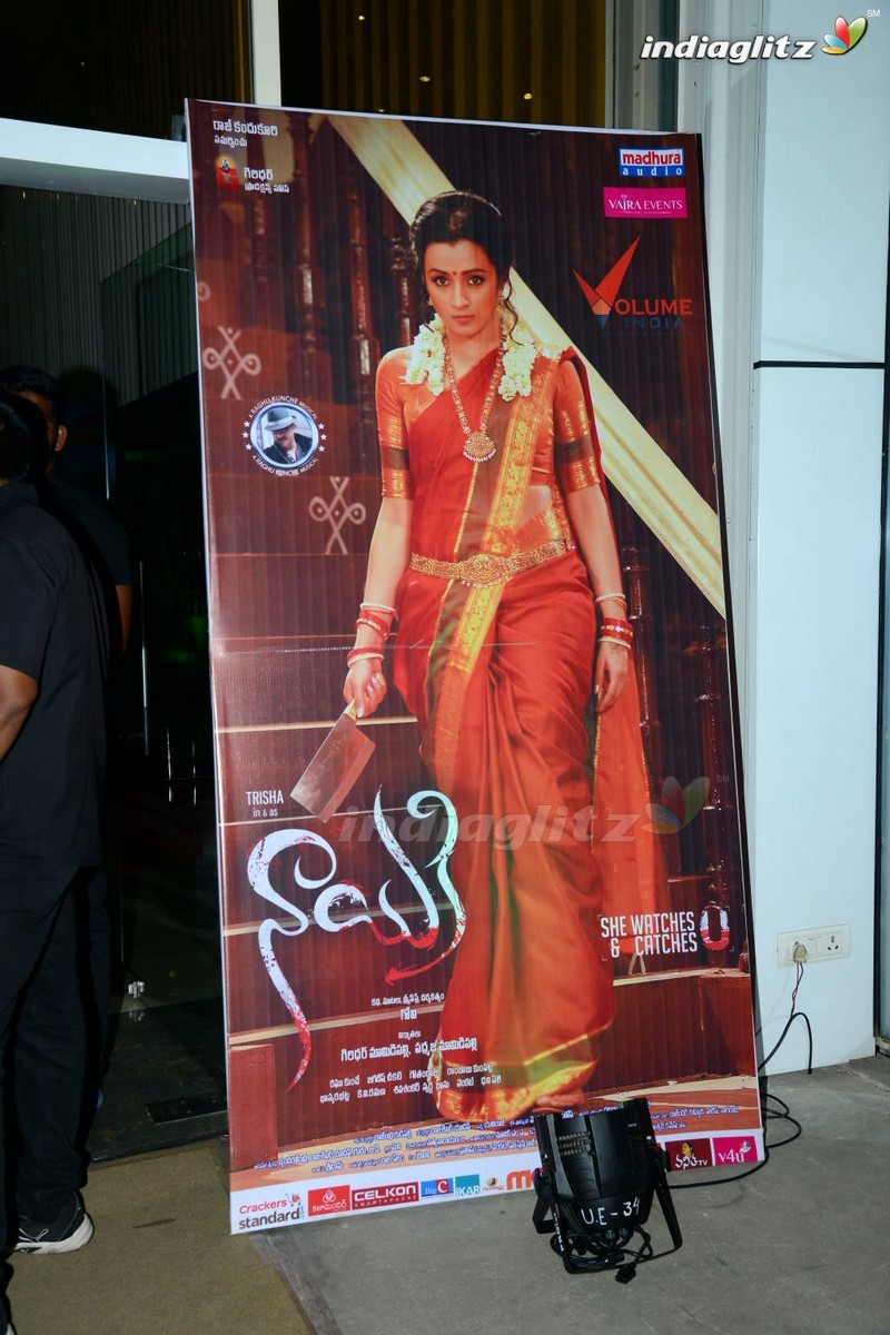 'Nayaki' Audio Launch (Set-1)