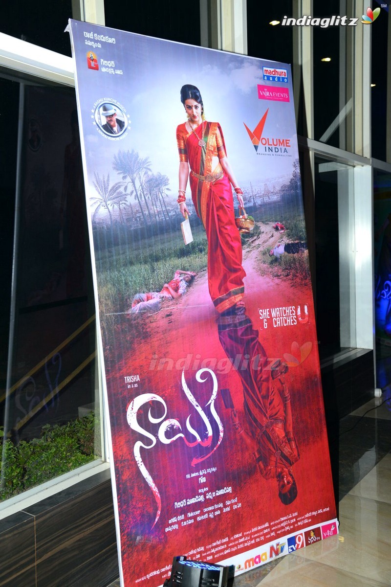 'Nayaki' Audio Launch (Set-1)