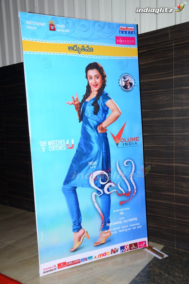 'Nayaki' Audio Launch (Set-1)