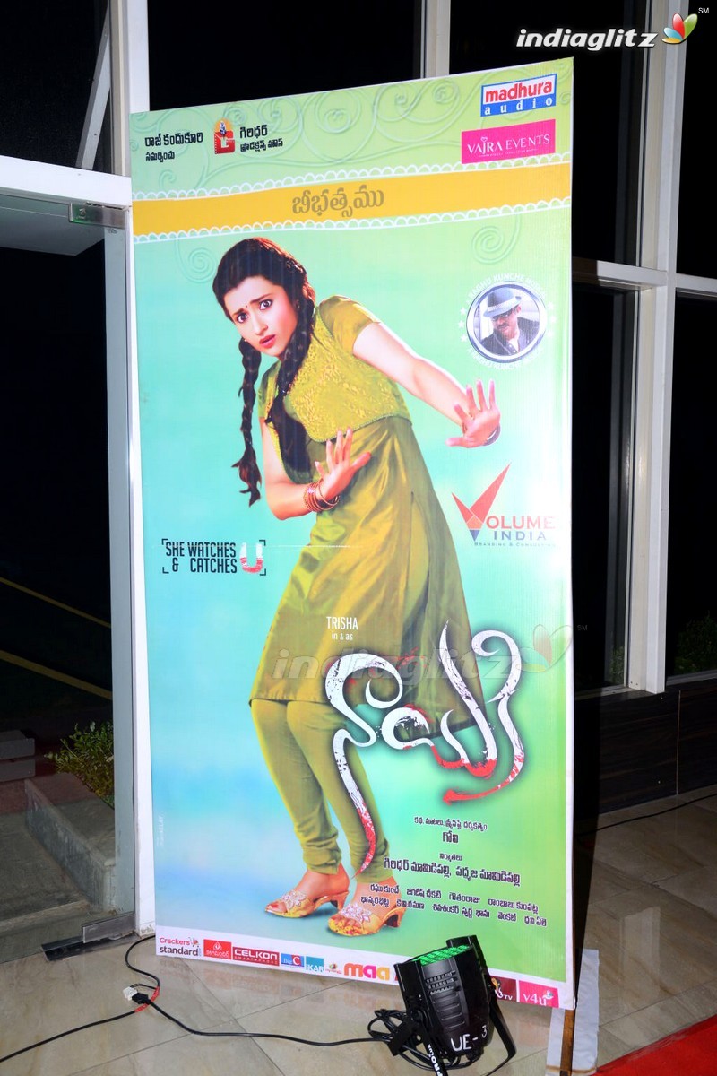 'Nayaki' Audio Launch (Set-1)