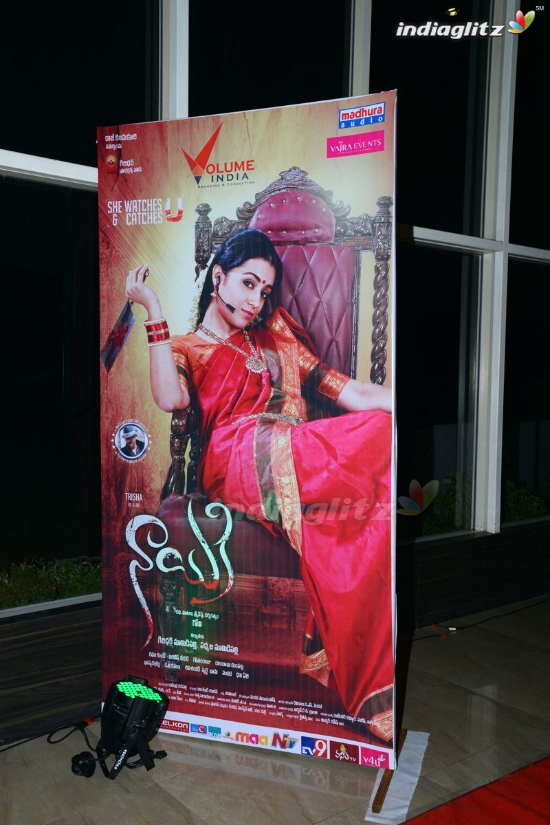 'Nayaki' Audio Launch (Set-1)