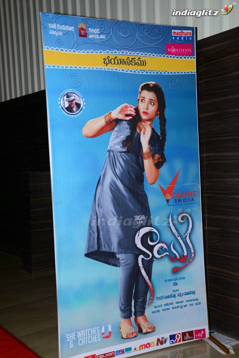 'Nayaki' Audio Launch (Set-1)