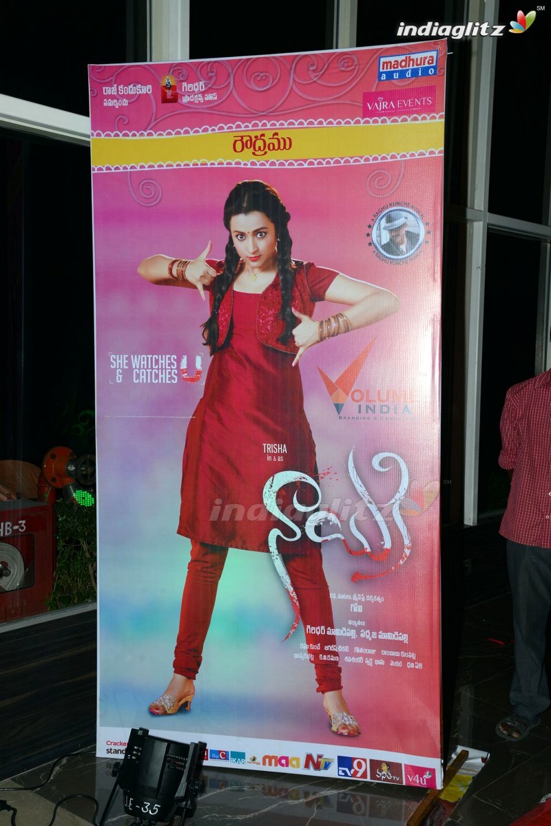 'Nayaki' Audio Launch (Set-1)