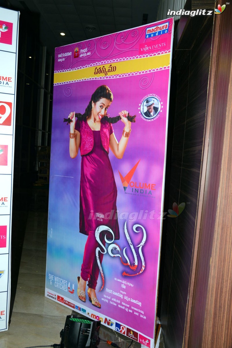 'Nayaki' Audio Launch (Set-1)