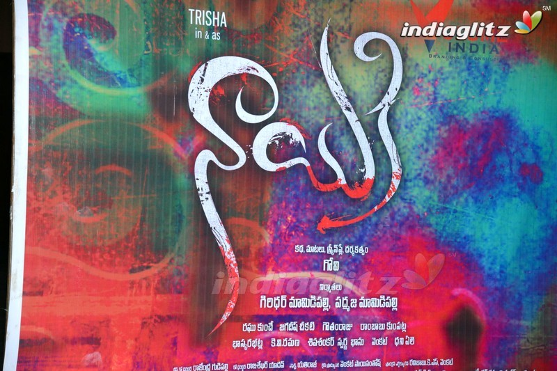 'Nayaki' Audio Launch (Set-1)