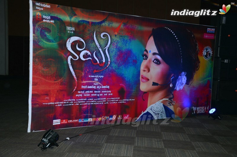 'Nayaki' Audio Launch (Set-1)