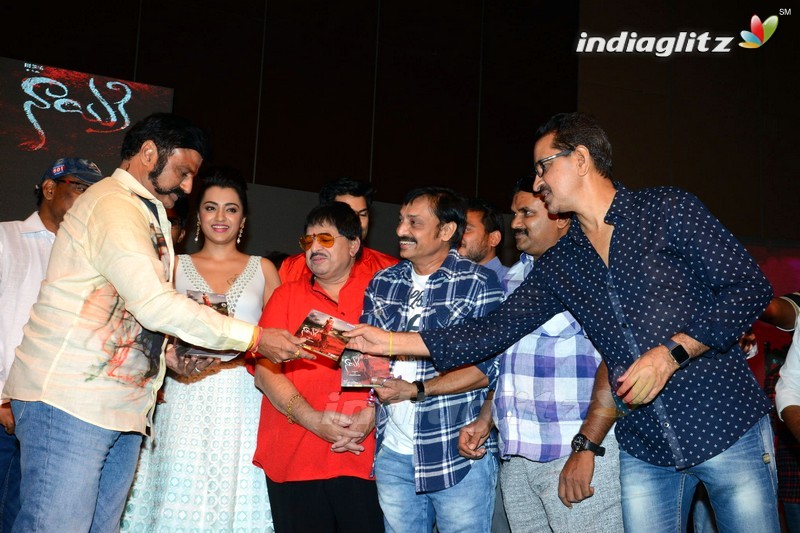 'Nayaki' Audio Launch (Set-2)