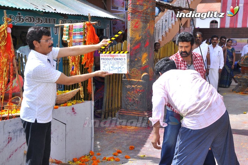 Balakrishna's 102nd Movie Launch