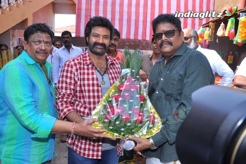 Balakrishna's 102nd Movie Launch