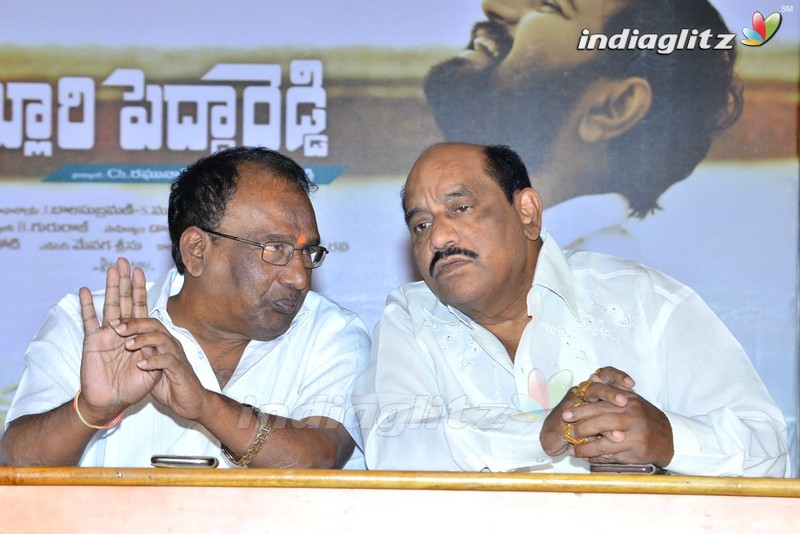 'Nelluri Pedda Reddy' Audio Launch