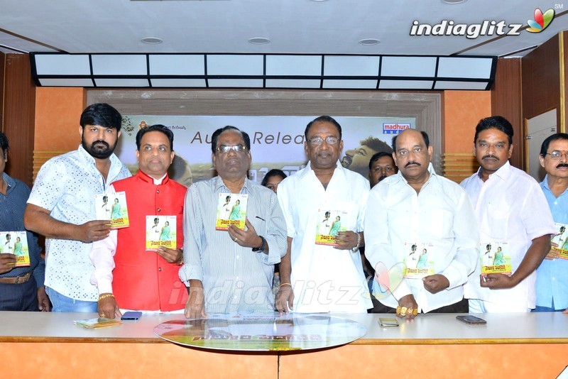 'Nelluri Pedda Reddy' Audio Launch