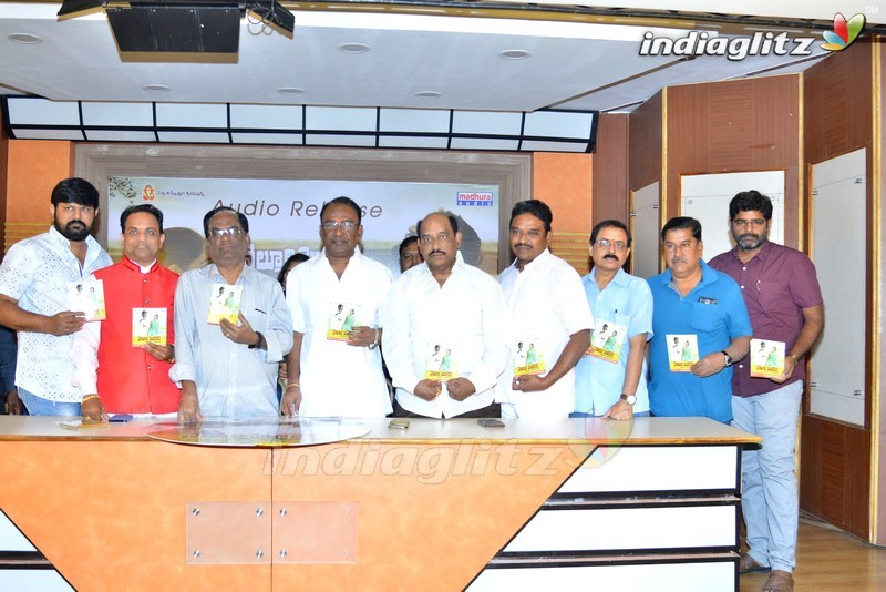 'Nelluri Pedda Reddy' Audio Launch