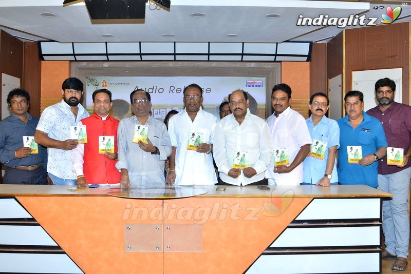 'Nelluri Pedda Reddy' Audio Launch