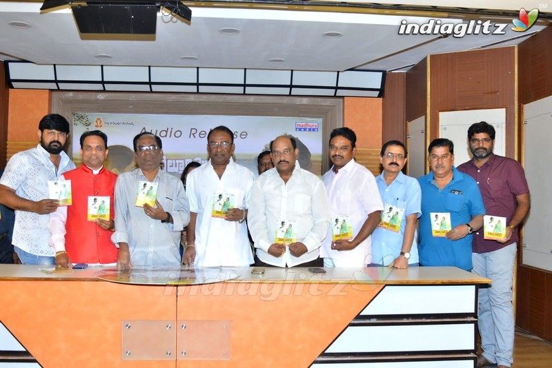 'Nelluri Pedda Reddy' Audio Launch