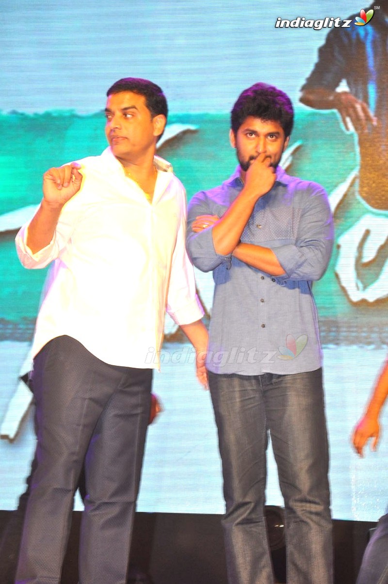 'Nenu Local' 100 Days Celebrations