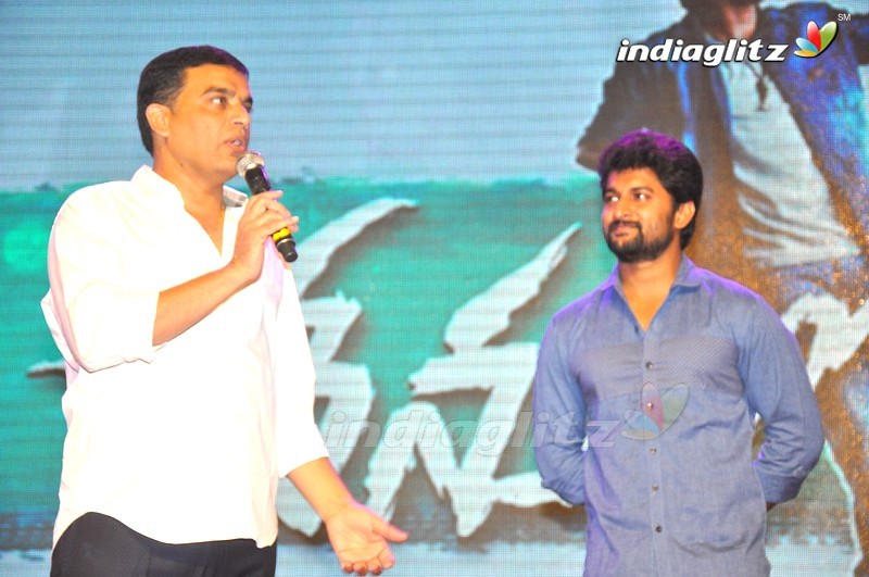 'Nenu Local' 100 Days Celebrations