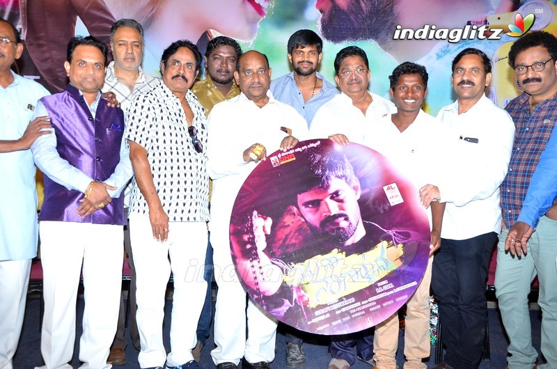 'Nenu Naa Nagarjuna' Audio Launch