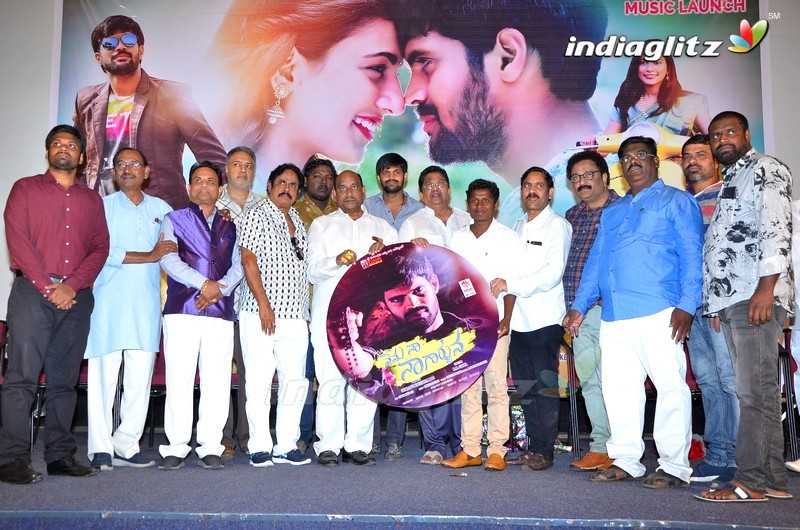 'Nenu Naa Nagarjuna' Audio Launch