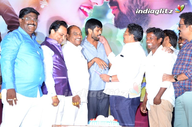 'Nenu Naa Nagarjuna' Audio Launch