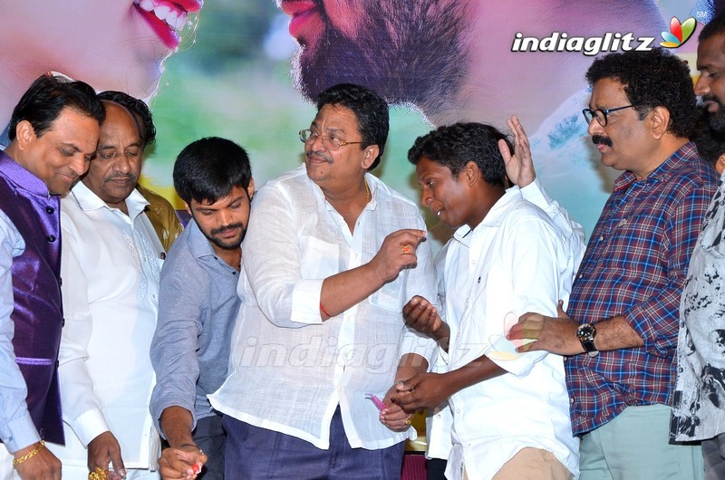 'Nenu Naa Nagarjuna' Audio Launch