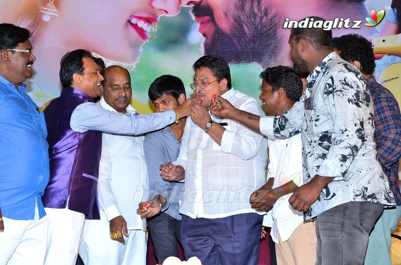 'Nenu Naa Nagarjuna' Audio Launch