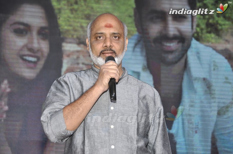 'Nenu Sailaja' Audio Launch (Set-1)