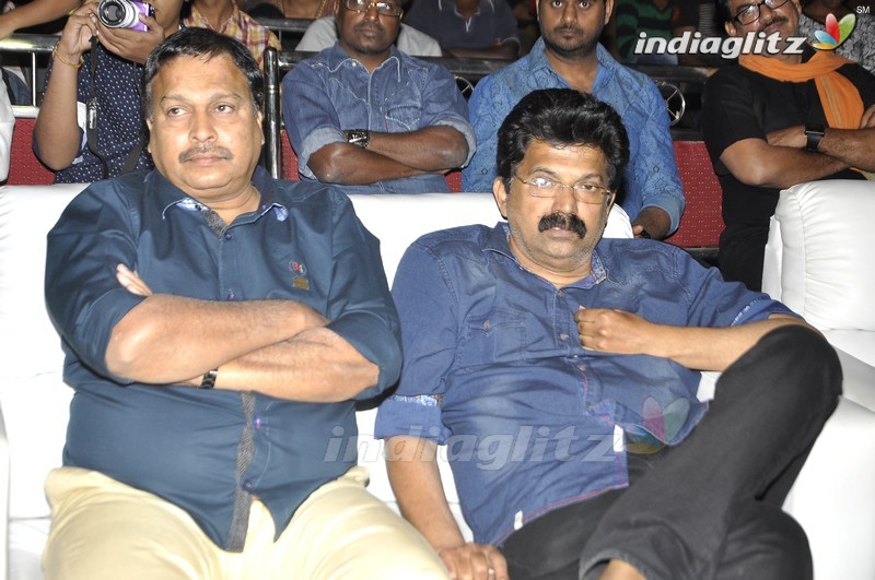 'Nenu Sailaja' Audio Launch (Set-1)