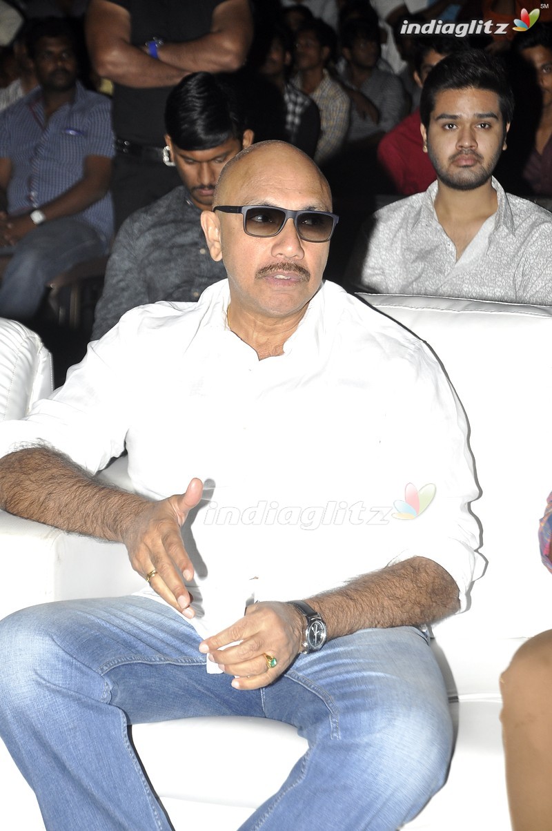 'Nenu Sailaja' Audio Launch (Set-1)