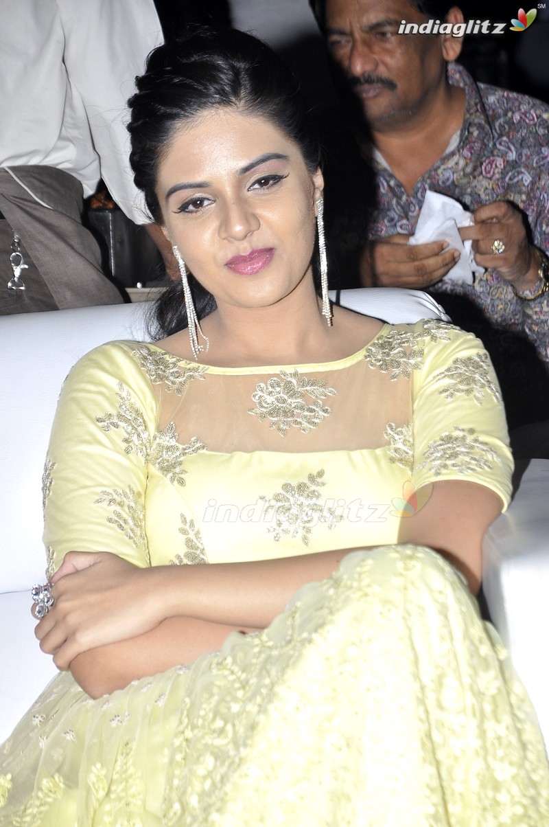 'Nenu Sailaja' Audio Launch (Set-1)