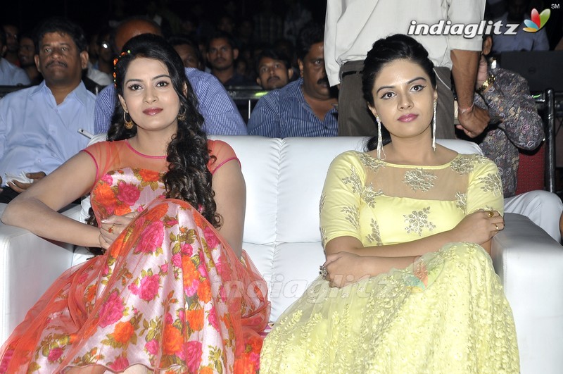 'Nenu Sailaja' Audio Launch (Set-1)