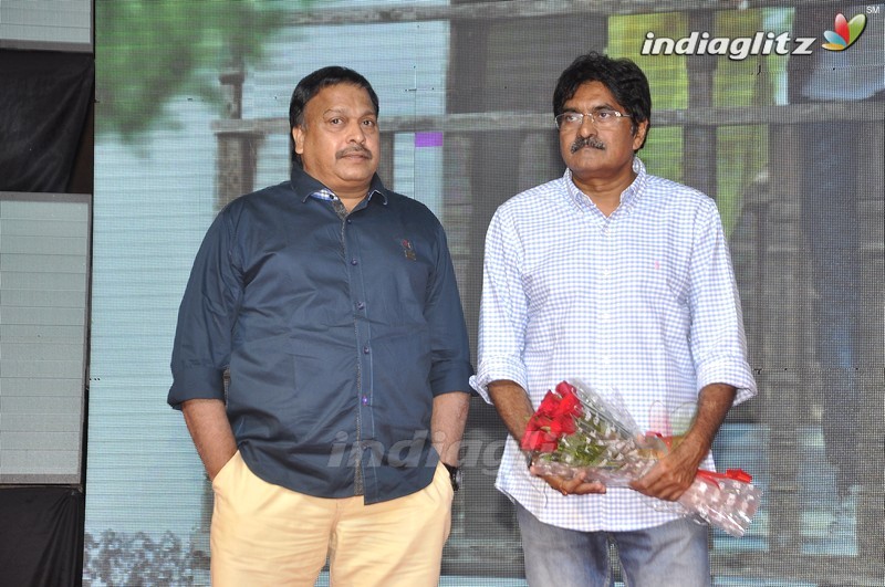 'Nenu Sailaja' Audio Launch (Set-1)