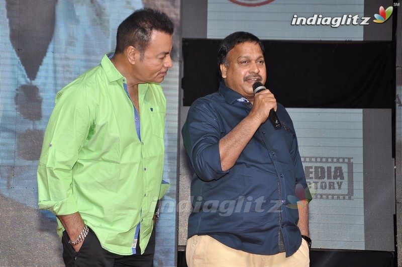 'Nenu Sailaja' Audio Launch (Set-1)