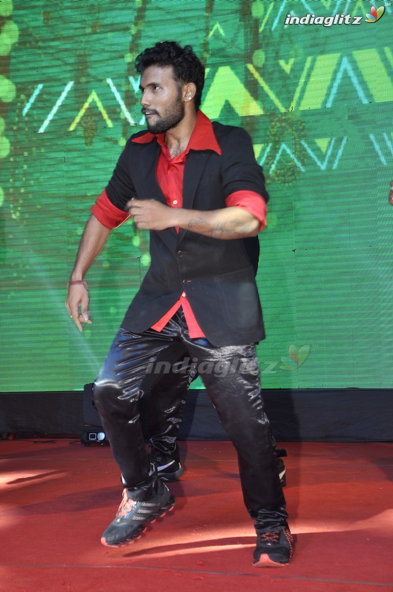 'Nenu Sailaja' Audio Launch (Set-1)