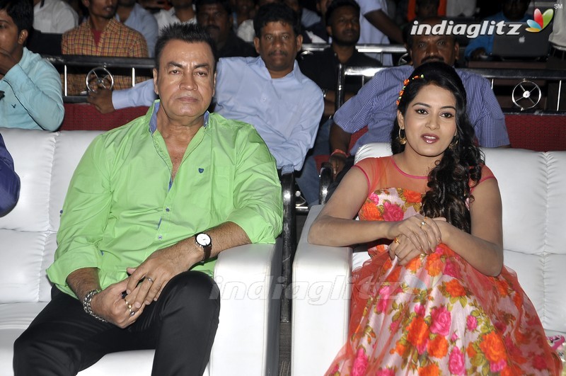 'Nenu Sailaja' Audio Launch (Set-1)