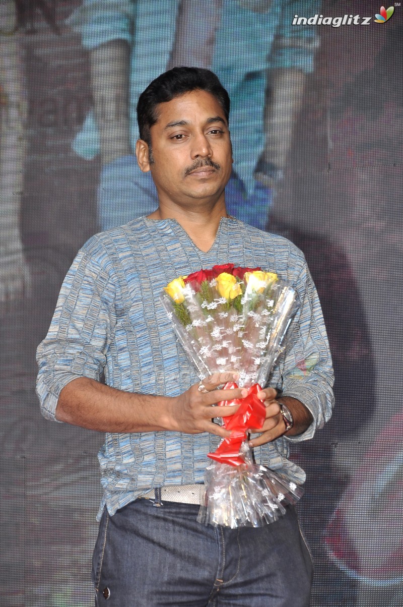 'Nenu Sailaja' Audio Launch (Set-1)