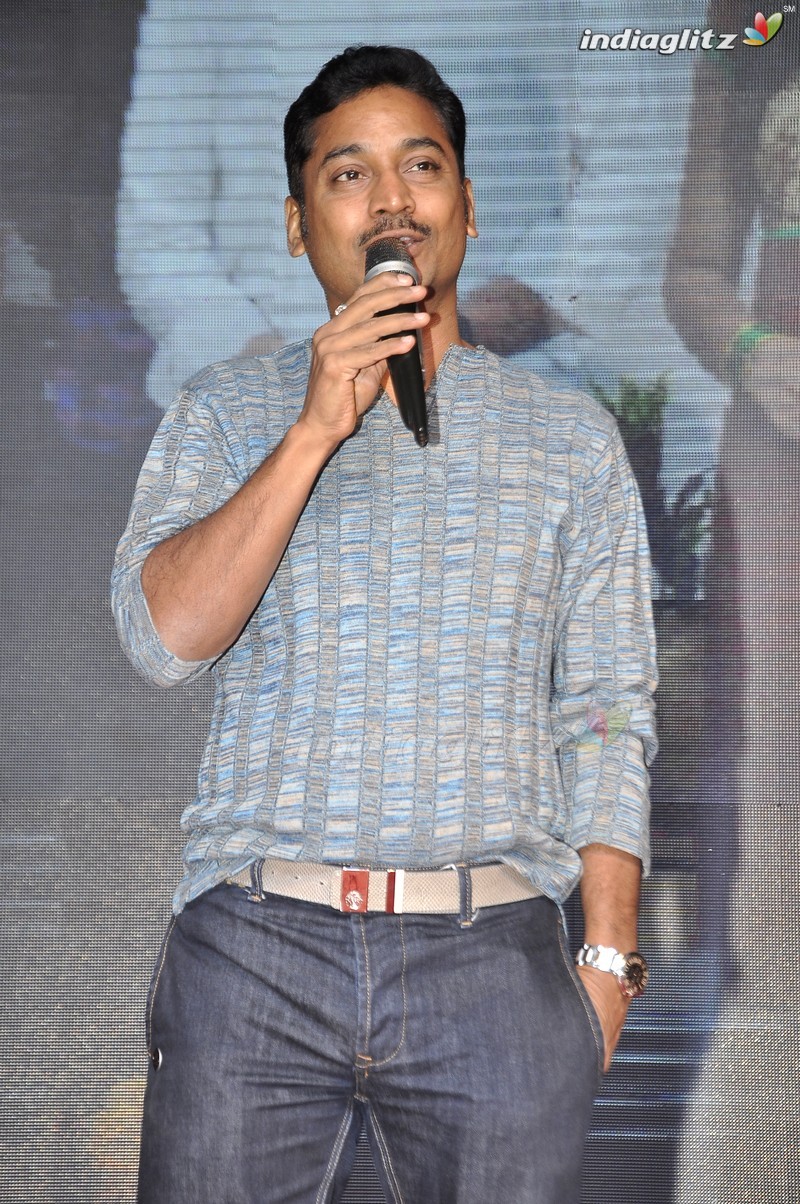 'Nenu Sailaja' Audio Launch (Set-1)