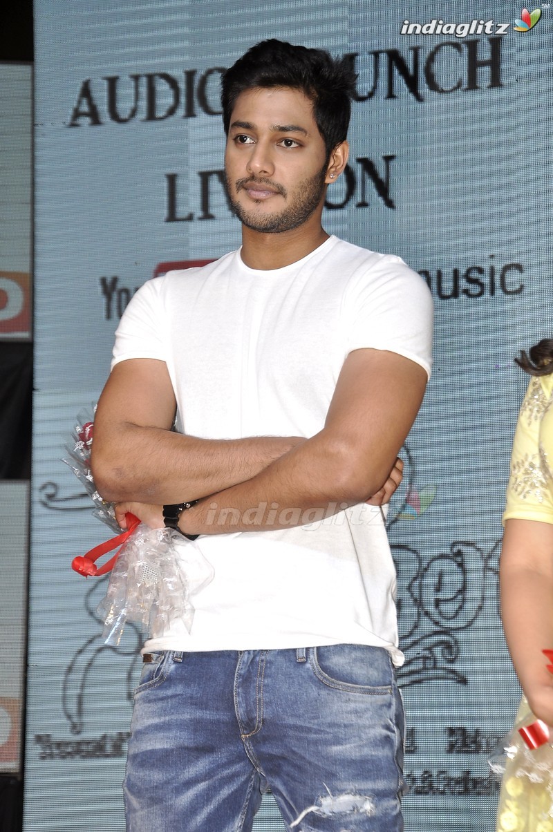 'Nenu Sailaja' Audio Launch (Set-1)