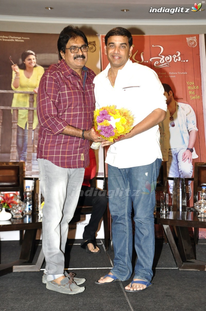 'Nenu Sailaja' Success Meet