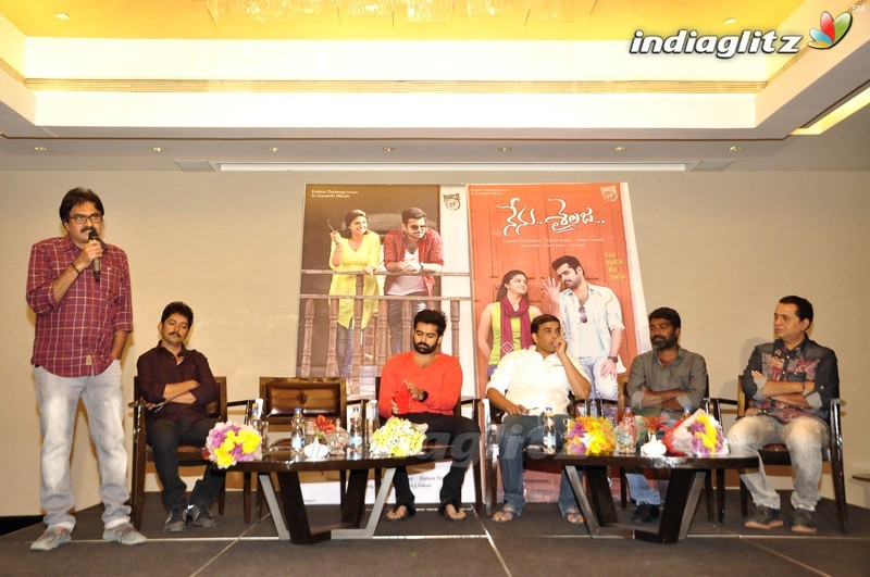 'Nenu Sailaja' Success Meet