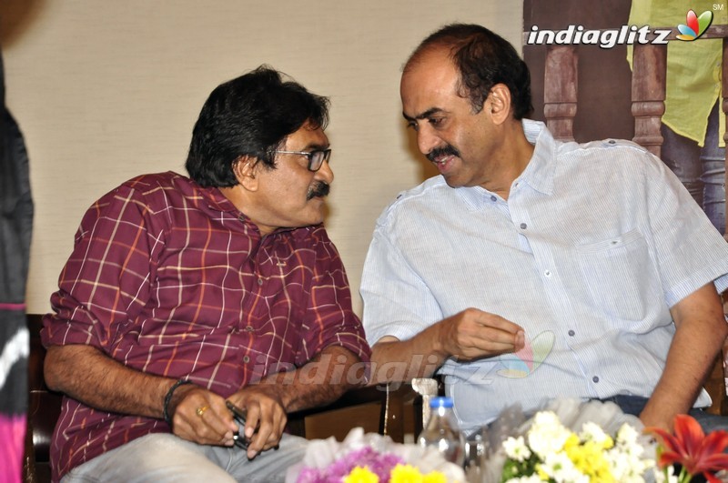 'Nenu Sailaja' Success Meet