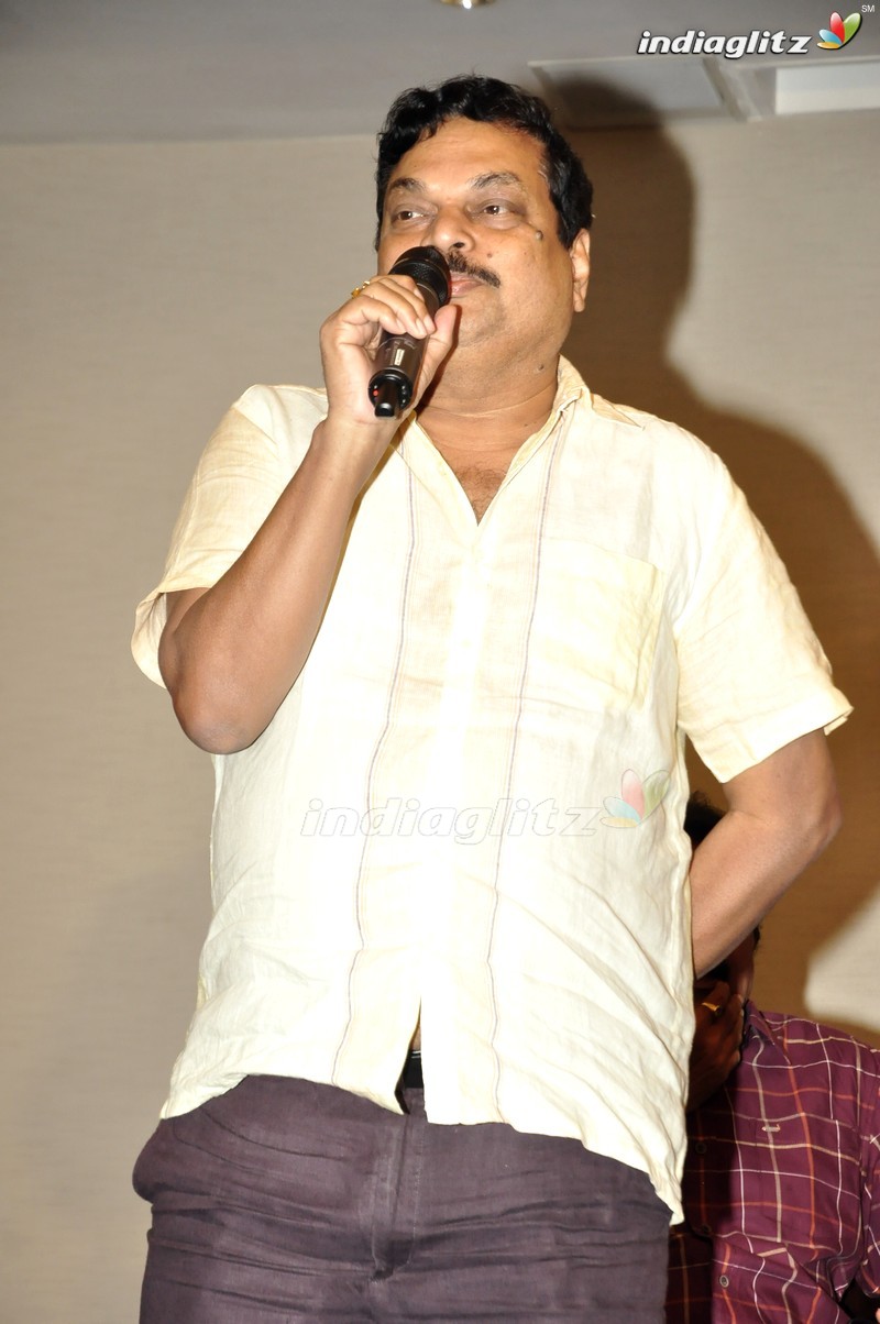 'Nenu Sailaja' Success Meet