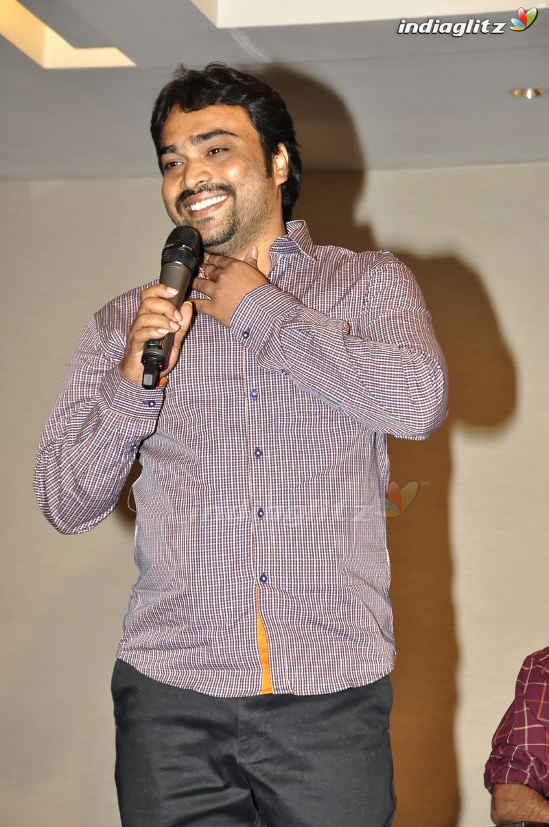 'Nenu Sailaja' Success Meet