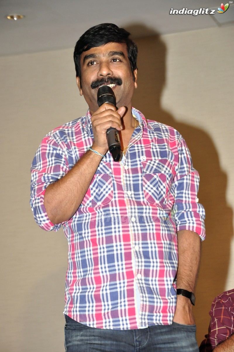 'Nenu Sailaja' Success Meet