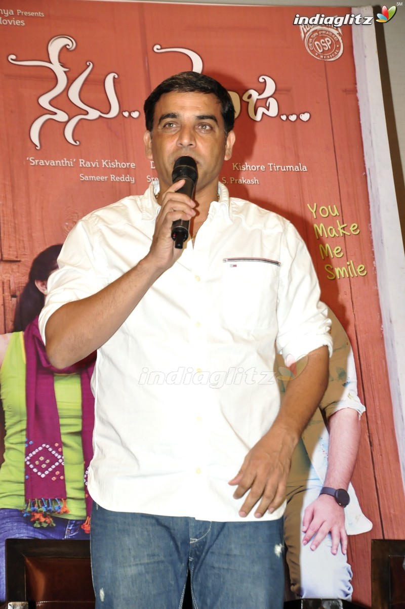 'Nenu Sailaja' Success Meet