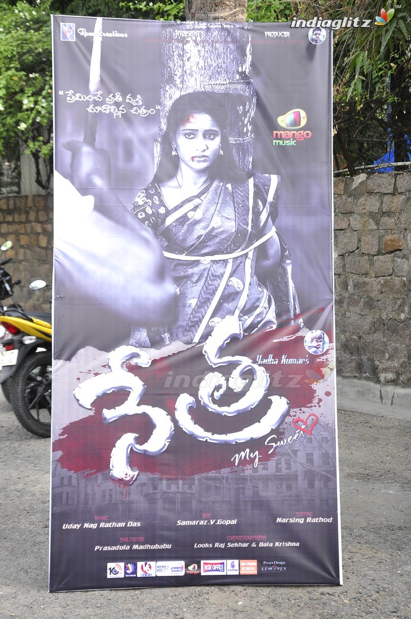 'Nethra' Audio Launch