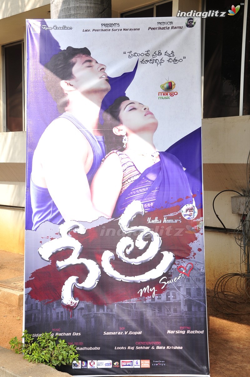 'Nethra' Audio Launch