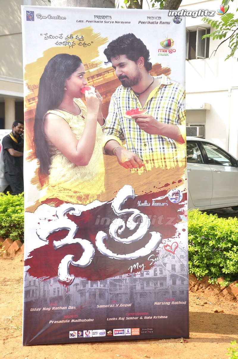 'Nethra' Audio Launch