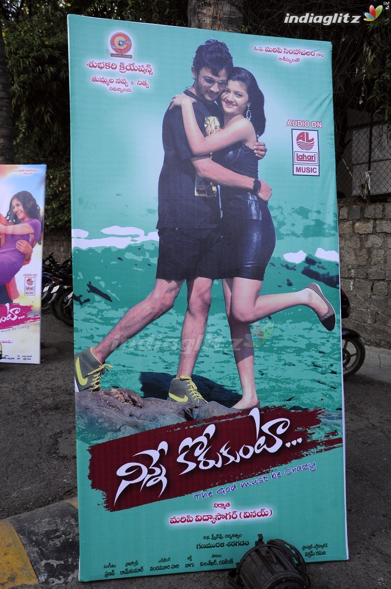 'Ninne Korukunta' Audio Launch