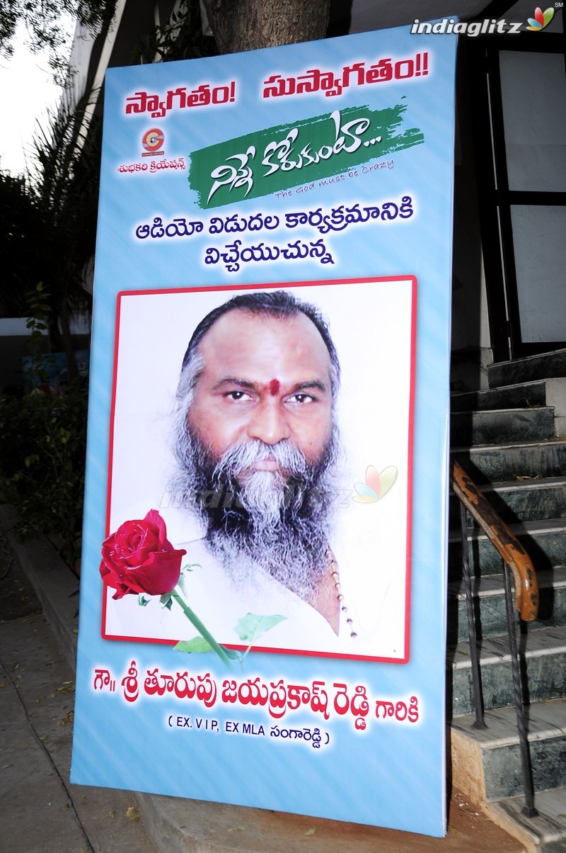 'Ninne Korukunta' Audio Launch