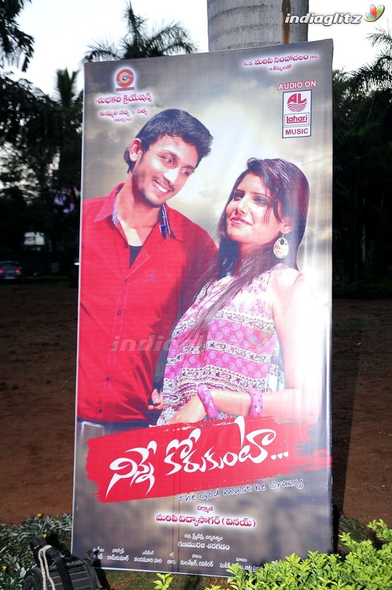 'Ninne Korukunta' Audio Launch